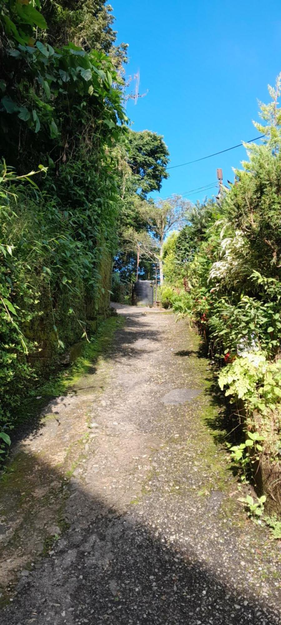 Seven Hills Homestay Kalimpong Bilik gambar
